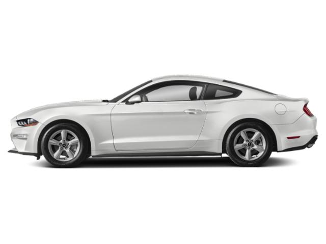 New 2019 Ford Mustang Cp Fastback Eco For Sale Near
