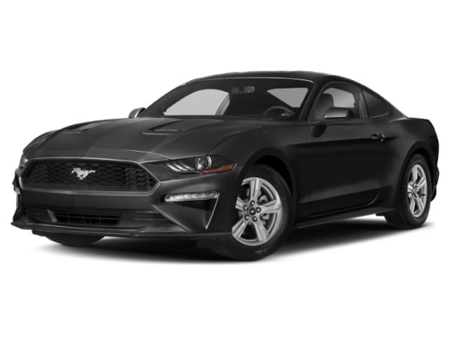 2019 Ford Mustang Gt Fastback Shadow Blk 8 Cylinder Engine