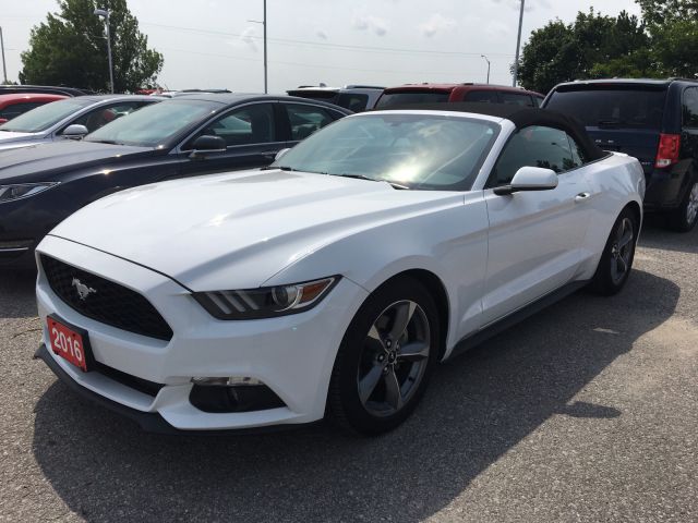 2016 Ford Mustang Convertible White 3 7l V6 Dohc 24v Polito 2016 Ford Mustang Convertible