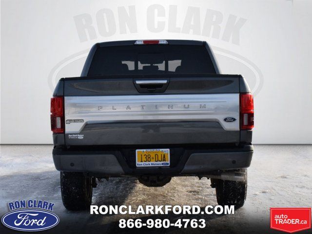 2019 Ford F 150 Platinum Gray Regular Unleaded V 8 5 0 L 302