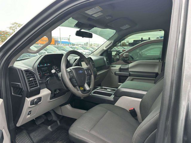 2019 Ford F-150 XL 4WD SuperCrew 5.5 Box 2019 Ford F-150 XL 4WD SuperCrew 5.5 Box