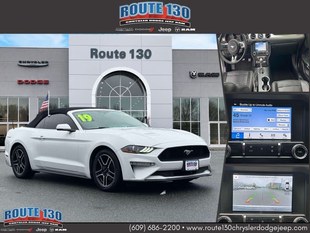 2019 Ford Mustang EcoBoost Convertible 2019 Ford Mustang EcoBoost Convertible