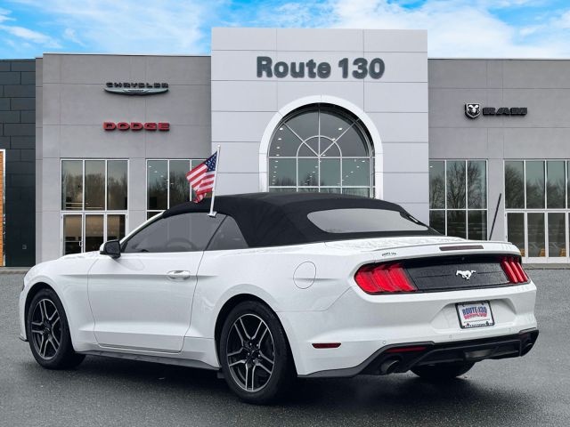 2019 Ford Mustang EcoBoost Convertible 2019 Ford Mustang EcoBoost Convertible