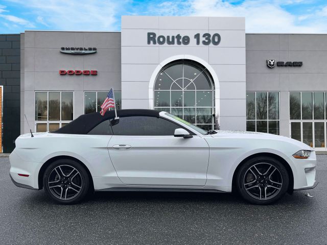 2019 Ford Mustang EcoBoost Convertible 2019 Ford Mustang EcoBoost Convertible