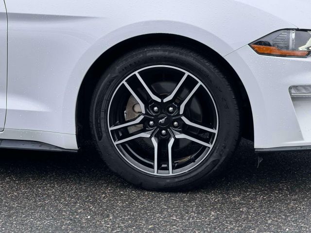 2019 Ford Mustang EcoBoost Convertible 2019 Ford Mustang EcoBoost Convertible