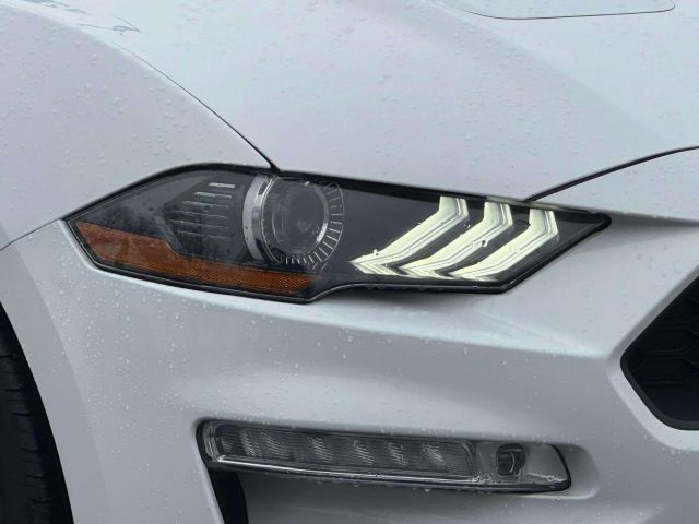 2019 Ford Mustang EcoBoost Convertible 2019 Ford Mustang EcoBoost Convertible