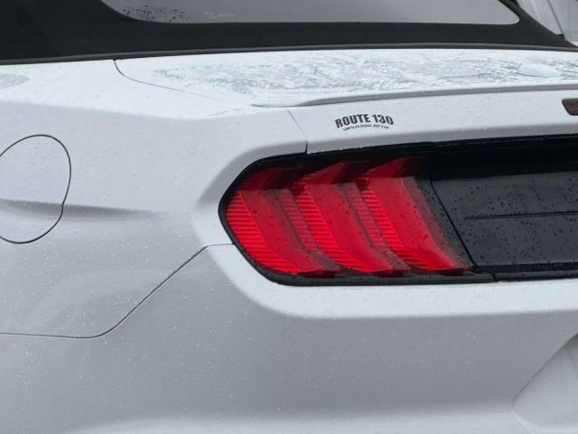 2019 Ford Mustang EcoBoost Convertible 2019 Ford Mustang EcoBoost Convertible