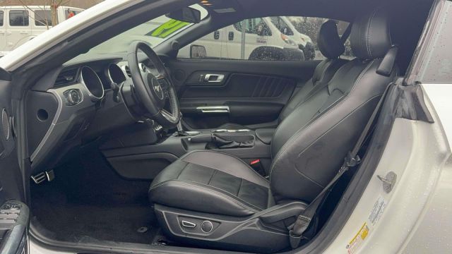 2019 Ford Mustang EcoBoost Convertible 2019 Ford Mustang EcoBoost Convertible