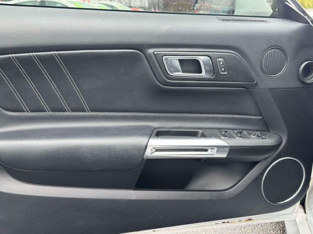 2019 Ford Mustang EcoBoost Convertible 2019 Ford Mustang EcoBoost Convertible