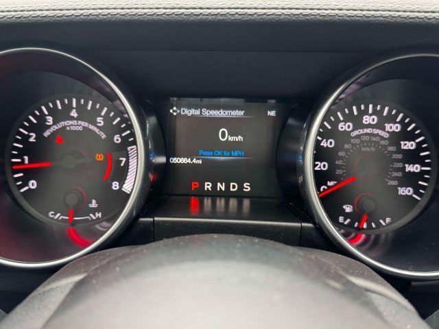 2019 Ford Mustang EcoBoost Convertible 2019 Ford Mustang EcoBoost Convertible