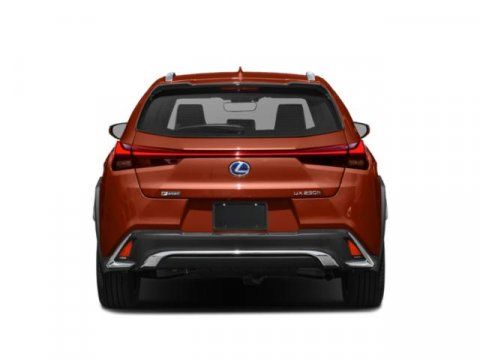 2019 Lexus Ux UX 250h F SPORT