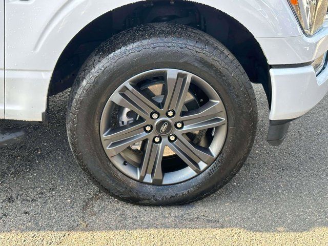 2023 Ford F-150 XL 4WD SuperCab 6.5 Box 2023 Ford F-150 XL 4WD SuperCab 6.5 Box