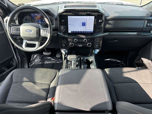 2023 Ford F-150 XL 4WD SuperCab 6.5 Box 2023 Ford F-150 XL 4WD SuperCab 6.5 Box