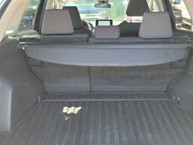 2023 Toyota RAV4 XLE AWD (Natl)