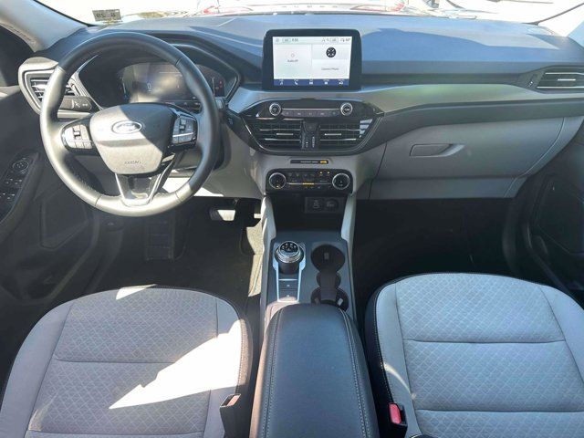 2024 Ford Escape Active 2024 Ford Escape Active