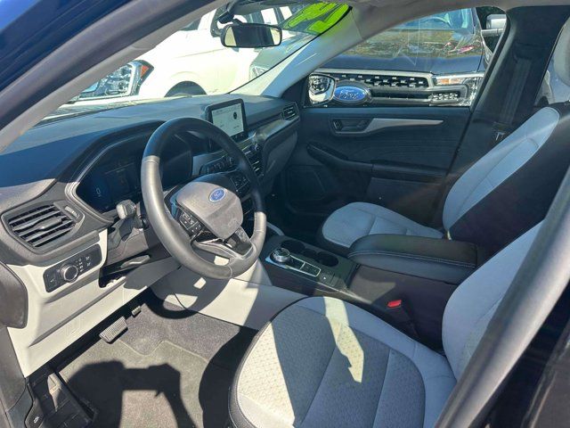 2024 Ford Escape Active 2024 Ford Escape Active