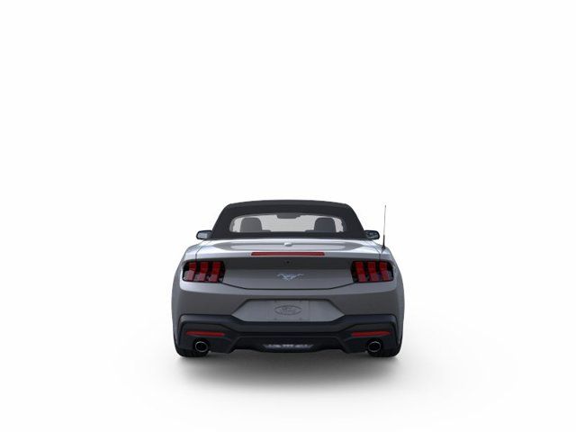 2025 Ford Mustang EcoBoost 2025 Ford Mustang EcoBoost