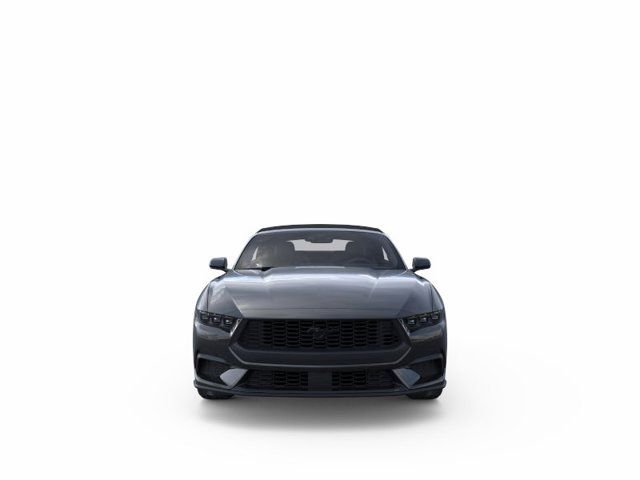 2025 Ford Mustang EcoBoost 2025 Ford Mustang EcoBoost